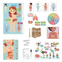 CUERPO HUMANO APRENDO EN POSITIVO - Imagen 2